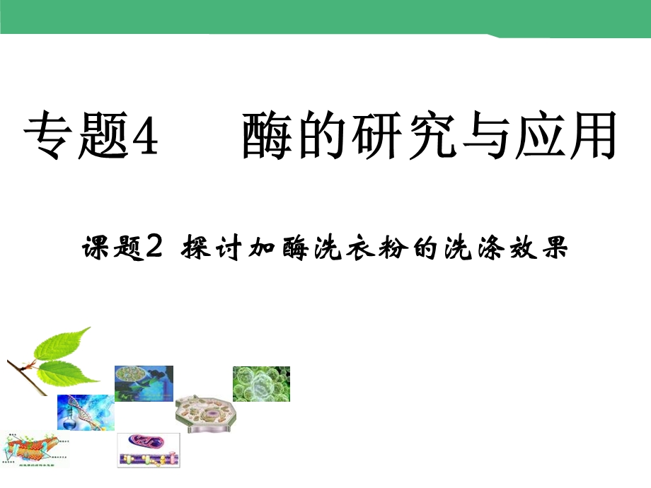 2015-2016学年高中生物选修1课件：4-2《探讨加酶洗衣粉的洗涤效果》.ppt_第1页