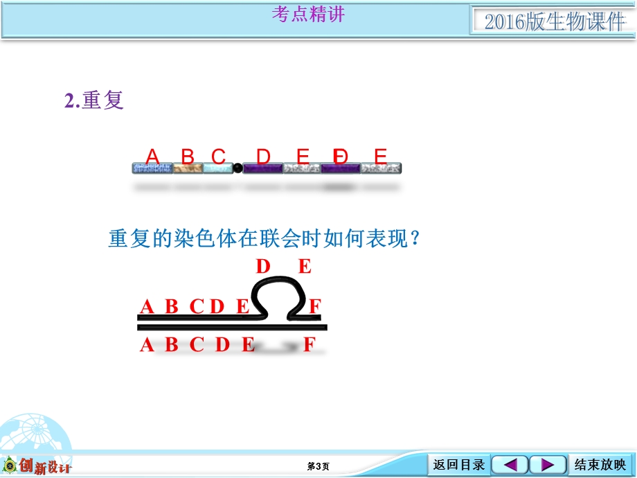 2016届高考生物（全国通用）总复习配套课件：基础考点强化类：2-3-02 染色体结构变异.ppt_第3页