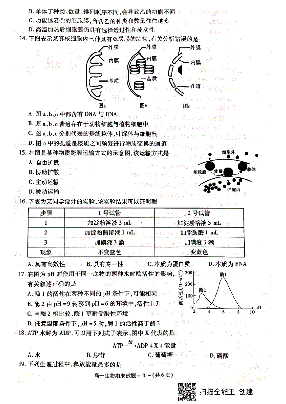 陕西省咸阳市2020-2021学年高一上学期期末教学质量检测生物试题 扫描版含答案.pdf_第3页