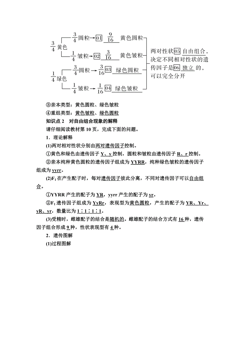 2019-2020学年度人教新课标版高中生物必修二教师用书：1-2-1第1课时　两对相对性状的杂交实验过程及自由组合定律 WORD版含答案.docx_第2页