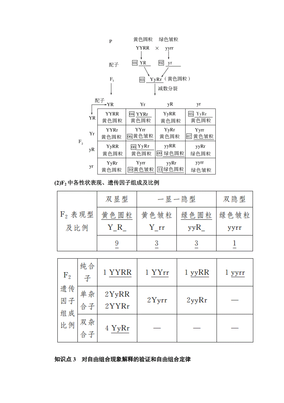 2019-2020学年度人教新课标版高中生物必修二教师用书：1-2-1第1课时　两对相对性状的杂交实验过程及自由组合定律 WORD版含答案.docx_第3页