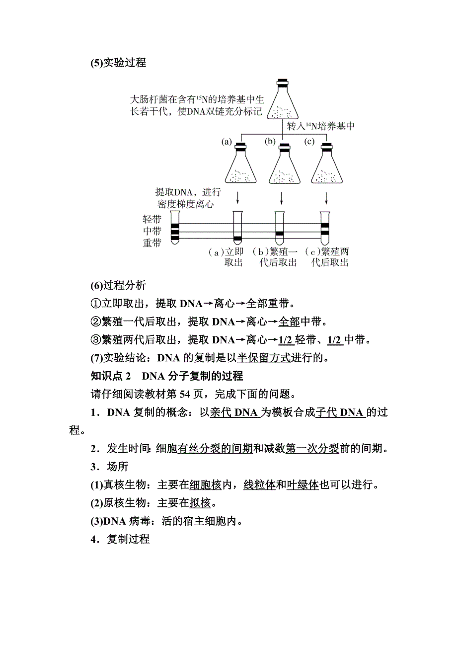 2019-2020学年度人教新课标版高中生物必修二教师用书：3-3第3节　DNA的复制 WORD版含答案.docx_第2页