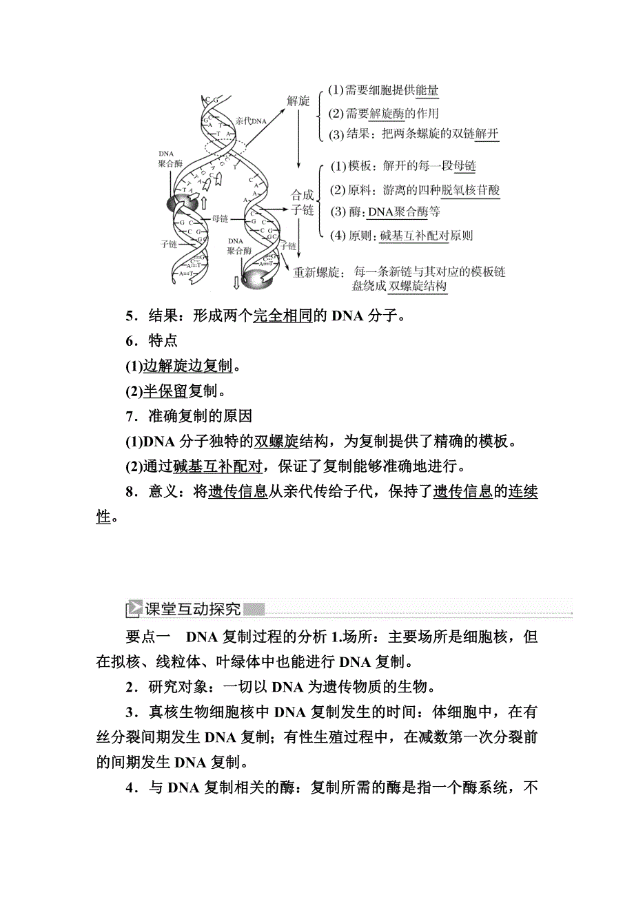 2019-2020学年度人教新课标版高中生物必修二教师用书：3-3第3节　DNA的复制 WORD版含答案.docx_第3页