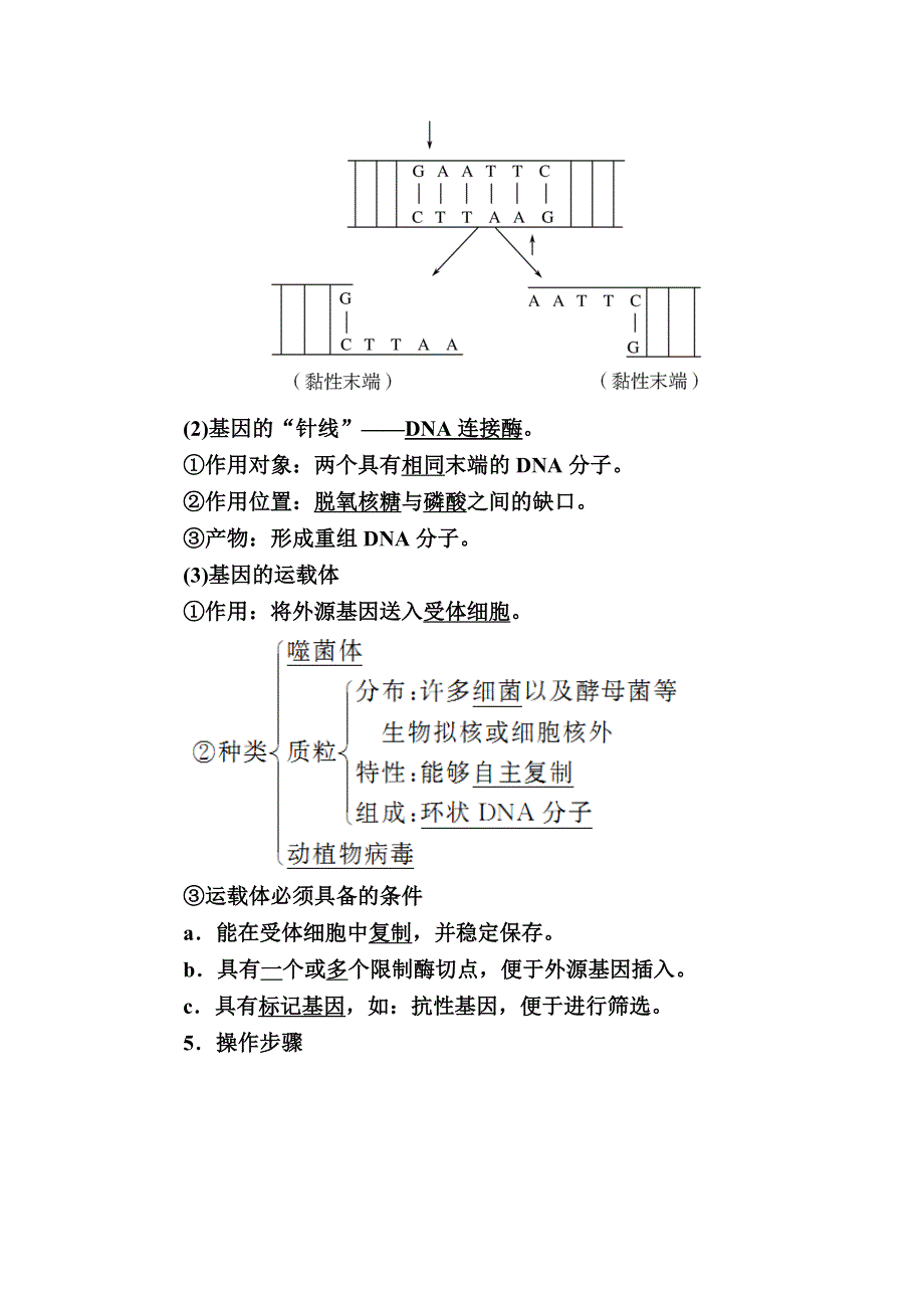 2019-2020学年度人教新课标版高中生物必修二教师用书：6-2第2节　基因工程及其应用 WORD版含答案.docx_第2页