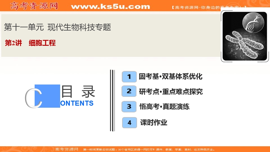 2020年高考人教版生物一轮复习课件：第十一单元 第2讲　细胞工程 .ppt_第1页