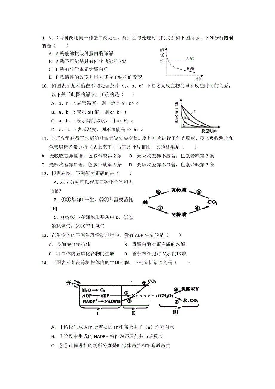 上海市吴淞中学2014届高三上学期期中考试生物试题WORD版含答案.doc_第2页