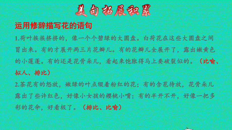 2022三年级语文下册 第1单元 第3课 荷花拓展积累课件 新人教版.ppt_第3页