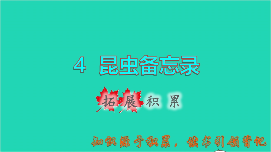 2022三年级语文下册 第1单元 第4课 昆虫备忘录拓展积累课件 新人教版.ppt_第1页