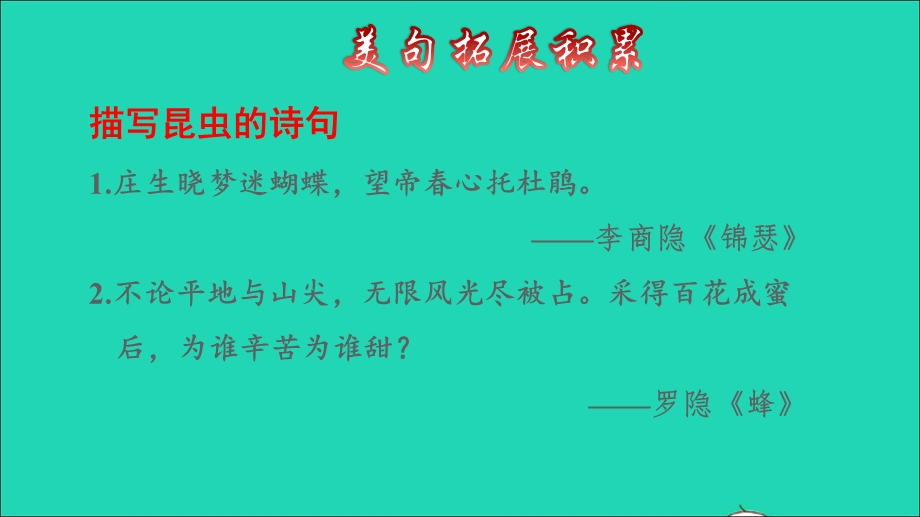 2022三年级语文下册 第1单元 第4课 昆虫备忘录拓展积累课件 新人教版.ppt_第3页