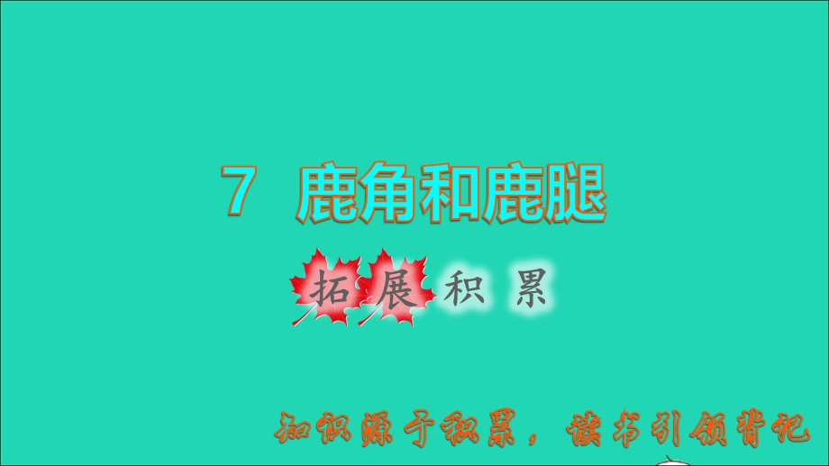 2022三年级语文下册 第2单元 第7课 鹿角和鹿腿拓展积累课件 新人教版.ppt_第1页