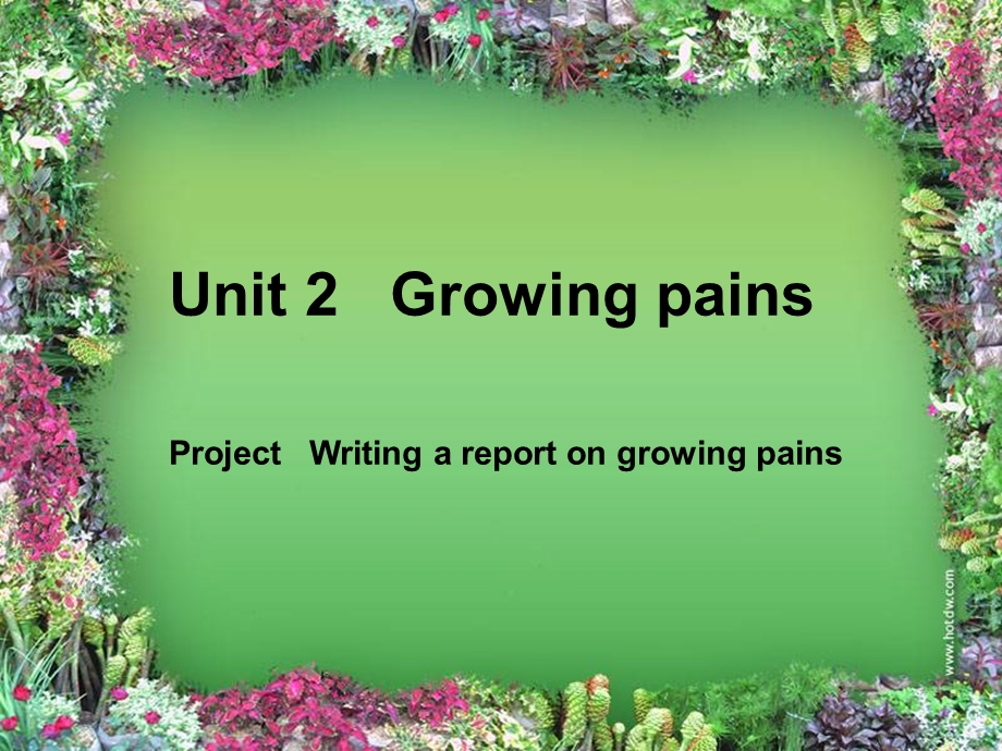 2015-2016学年高一英语牛津译林版必修一同步课件：UNIT 2 GROWING PAINS PROJECT（共24张PPT） .ppt_第1页