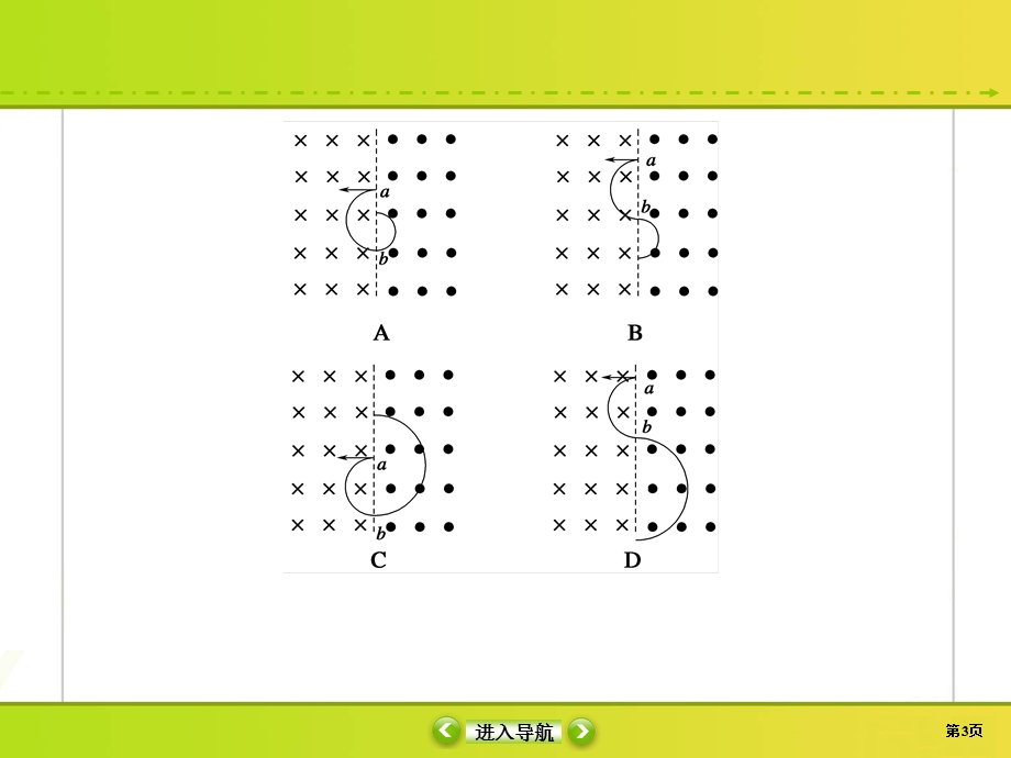 2020届高考物理大二轮同步复习：第九章　磁场课时作业31 .ppt_第3页