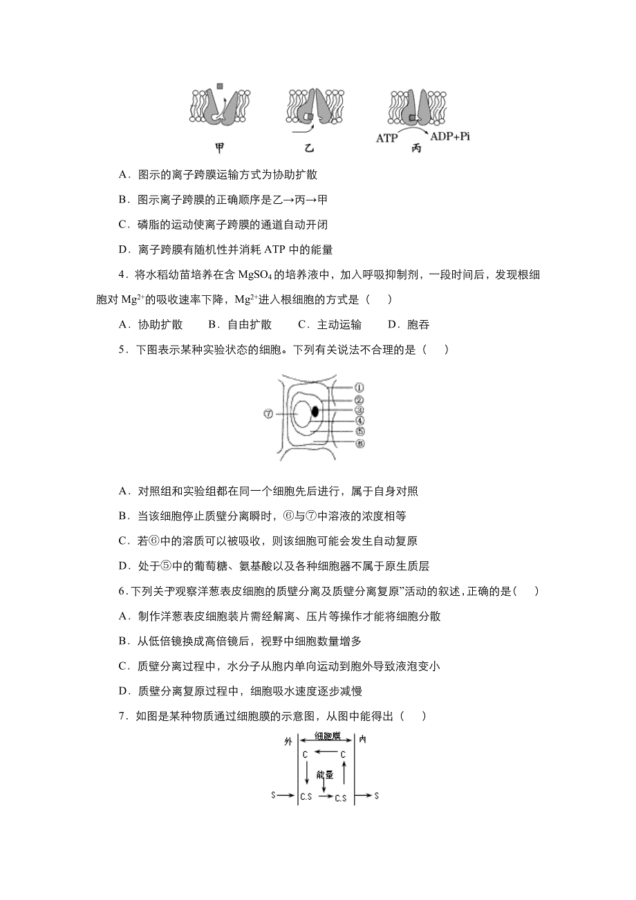 2019-2020学年上学期高一生物 寒假作业 精练3 细胞的物质输入和输出 .docx_第2页