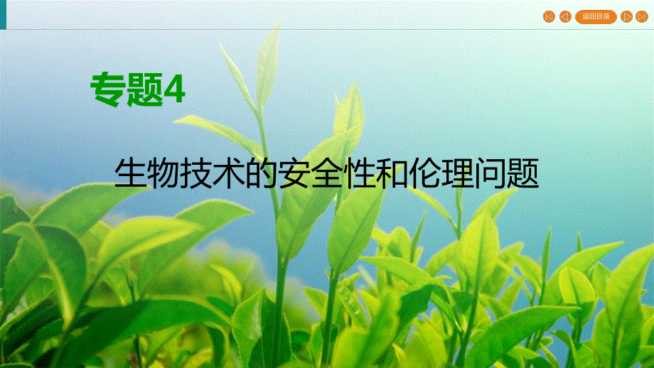 2019-2020学年人教高中生物选修三同步课件：专题4 生物技术的安全性和伦理问题4-2 .ppt_第1页