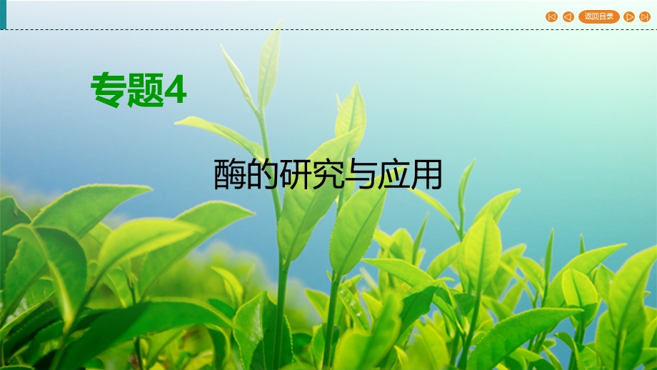 2019-2020学年人教高中生物选修1 课件 专题4 酶的研究与应用 专题4 课题3 WORD版含答案.ppt_第1页