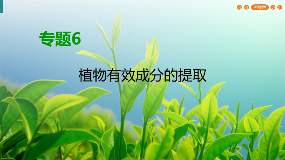 2019-2020学年人教高中生物选修1 课件 专题6 植物有效成分的提取 专题复习方案6 WORD版含答案.ppt_第1页