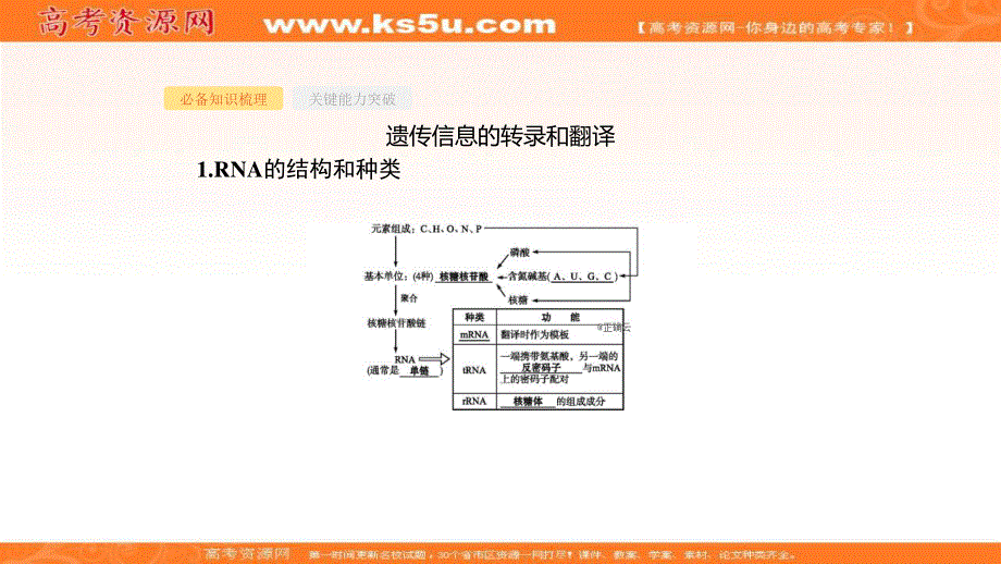 2020届高考生物二轮复习课件：第5单元遗传的分子基础17基因的表达 .ppt_第3页