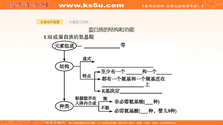 2020届高考生物二轮复习课件：第1单元走近细胞组成细胞的分子3生命活动的主要承担者__蛋白质 .ppt_第3页