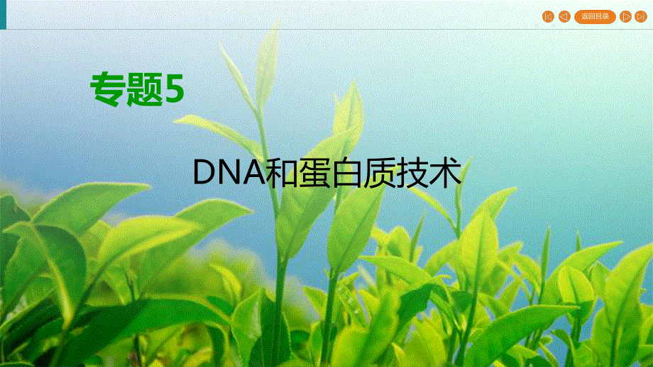 2019-2020学年人教高中生物选修1 课件 专题5 DNA和蛋白质技术课题2 WORD版含答案.ppt_第2页