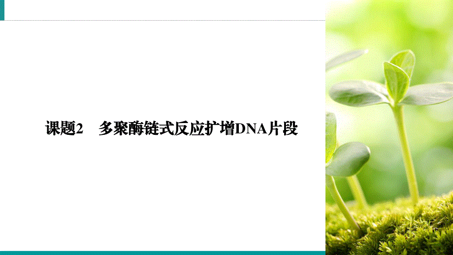 2019-2020学年人教高中生物选修1 课件 专题5 DNA和蛋白质技术课题2 WORD版含答案.ppt_第3页