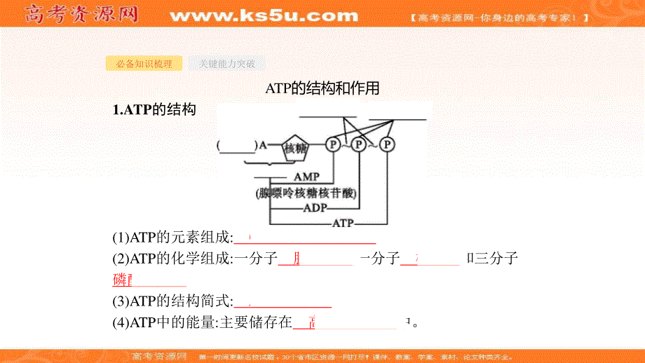 2020届高考生物二轮复习课件：第3单元细胞的能量供应和利用9ATP与细胞呼吸 .ppt_第3页