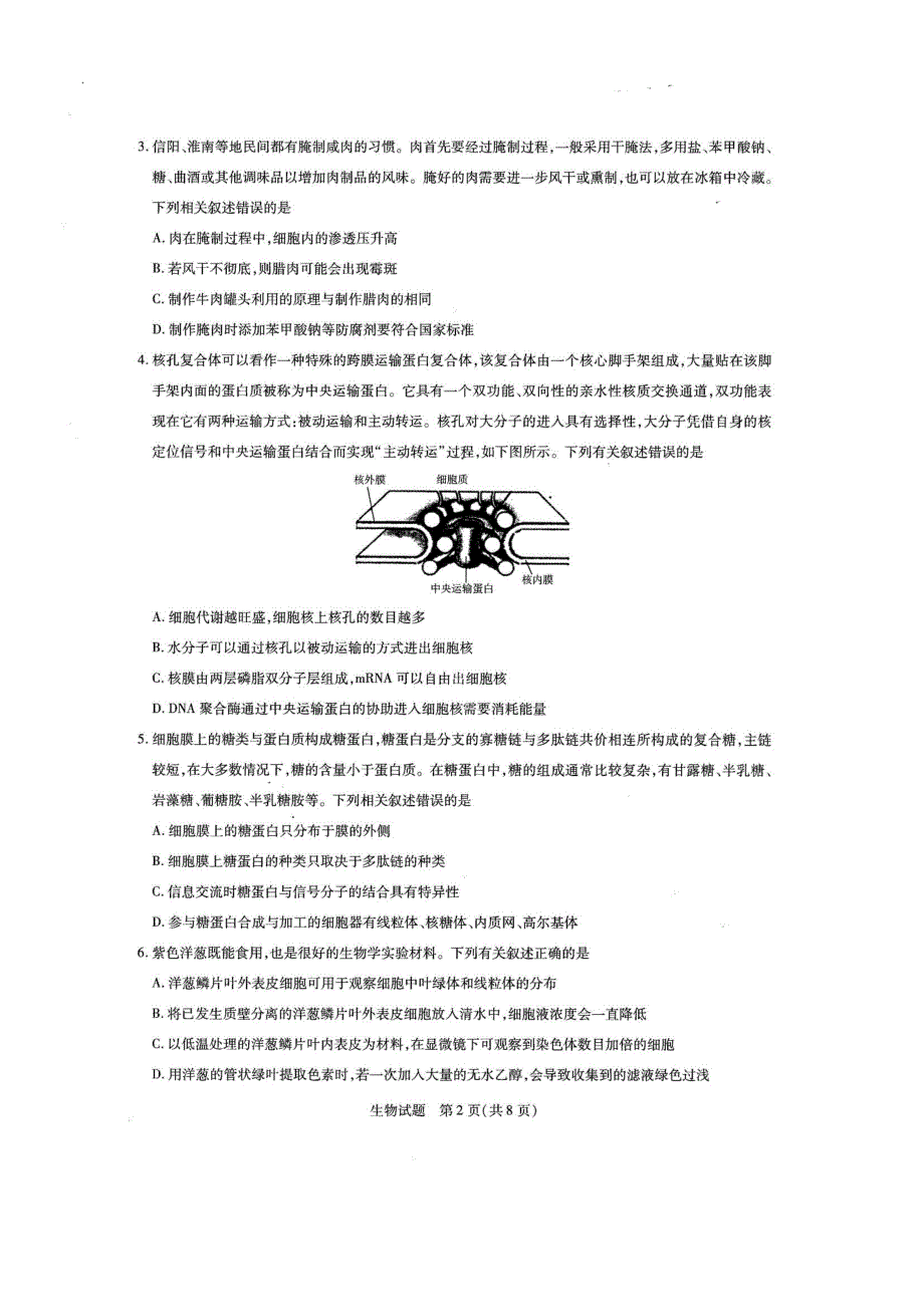 河南省名校大联考2022届高三上学期期中考试生物试题 扫描版含答案.pdf_第2页
