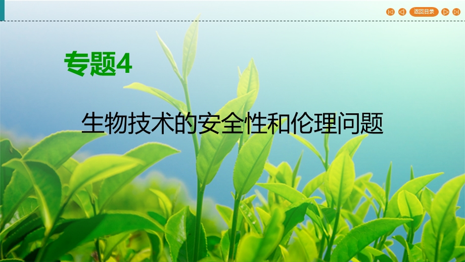 2019-2020学年人教高中生物选修三同步课件：专题4 生物技术的安全性和伦理问题4-1 .ppt_第1页