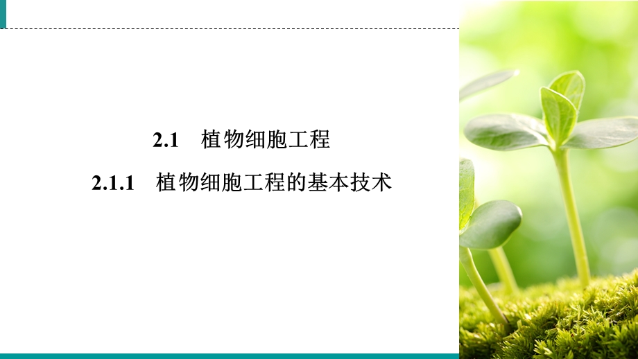 2019-2020学年人教高中生物选修三同步课件：专题2 细胞工程2-1-1 .ppt_第2页