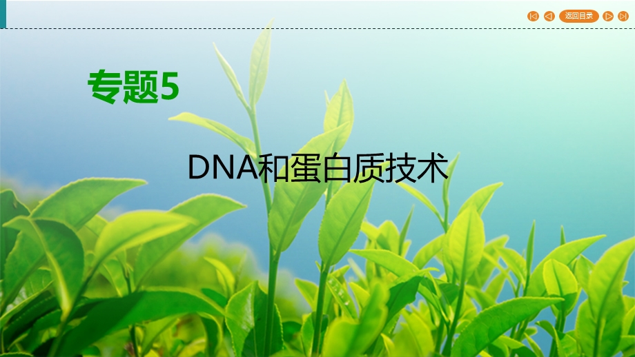 2019-2020学年人教高中生物选修1 课件 专题5 DNA和蛋白质技术 专题复习方案5 WORD版含答案.ppt_第1页