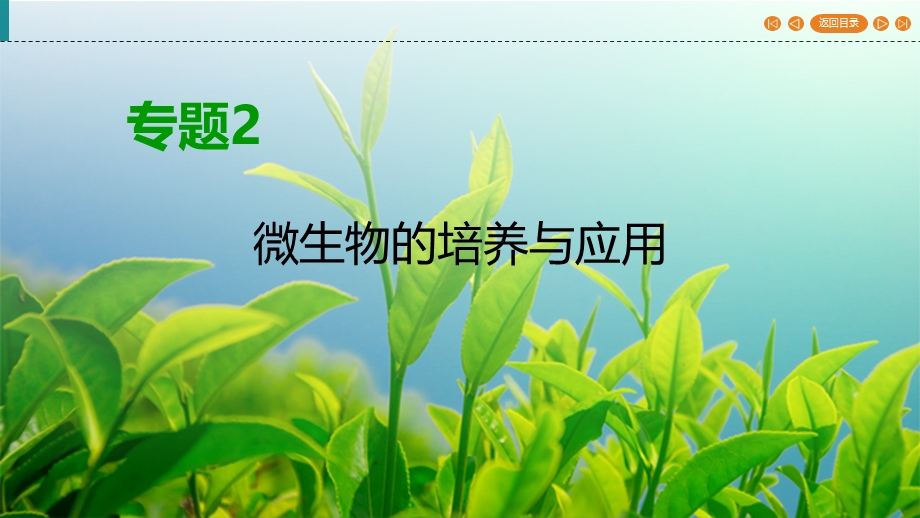 2019-2020学年人教高中生物选修1 课件 专题2 微生物的培养与应用专题复习方案2 WORD版含答案.ppt_第1页