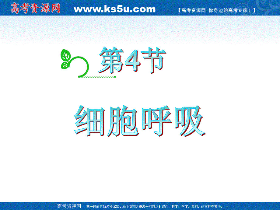 2012届高中生物总复习第一轮：3.4细胞呼吸(浙科版新课标必修1).ppt_第2页