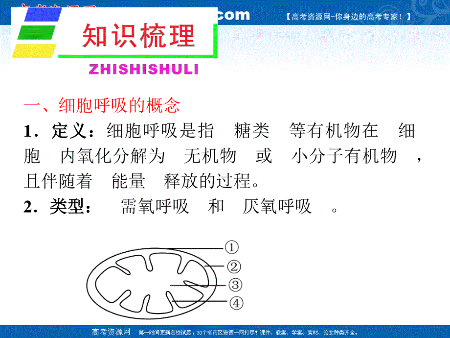 2012届高中生物总复习第一轮：3.4细胞呼吸(浙科版新课标必修1).ppt_第3页