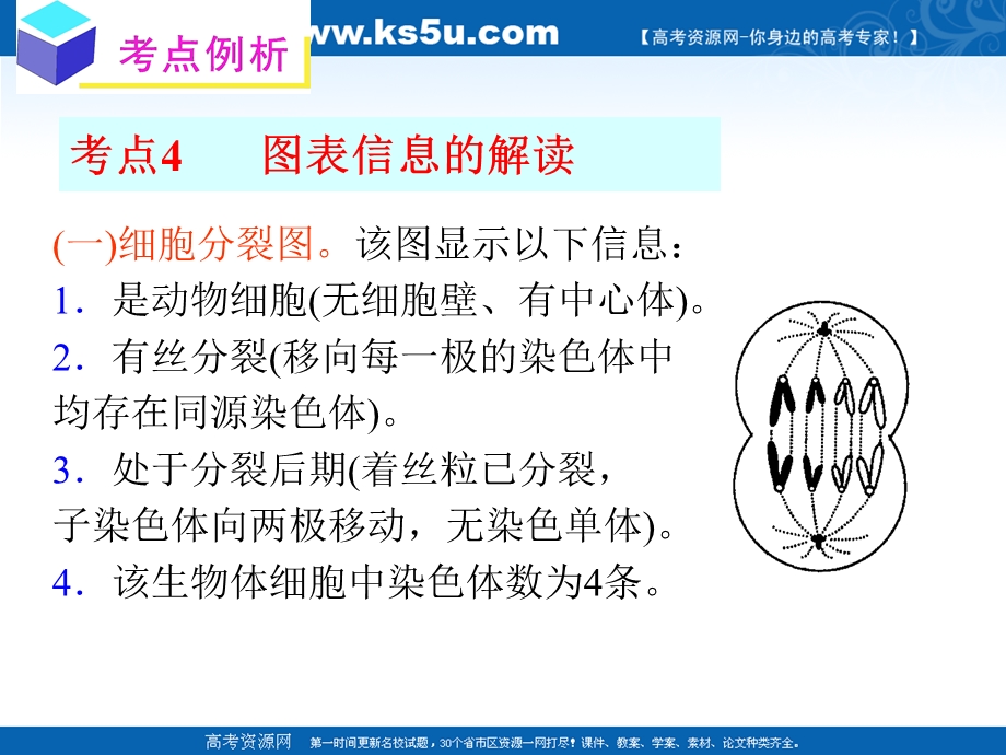 2012届高中生物总复习第一轮：4.1细胞的增殖（2）(浙科版新课标必修1).ppt_第3页