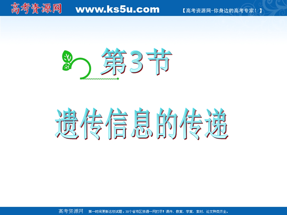 2012届高中生物总复习第一轮：3.3遗传信息的传递(浙科版新课标必修2).ppt_第2页