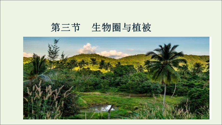 2021-2022学年新教材高中地理 第二单元 从地球圈层看地表环境 第三节 生物圈与植被课件 鲁教版必修第一册.ppt_第1页