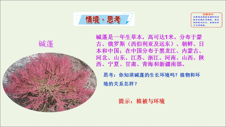 2021-2022学年新教材高中地理 第二单元 从地球圈层看地表环境 第三节 生物圈与植被课件 鲁教版必修第一册.ppt_第2页