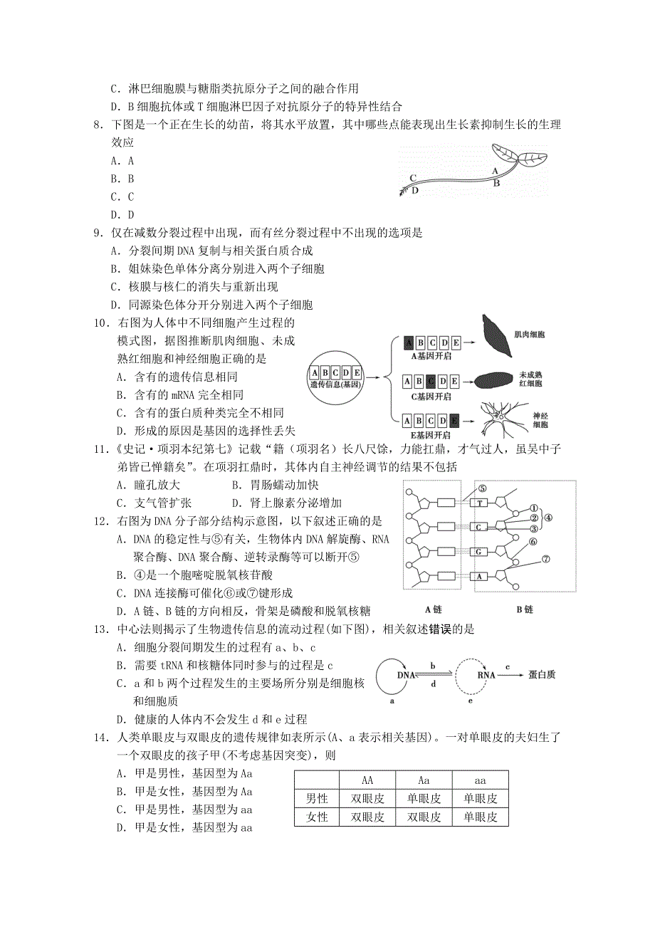 上海市松江区2016-2017学年度高三上学期期末质量监控生命科学试卷 WORD版含答案.doc_第2页