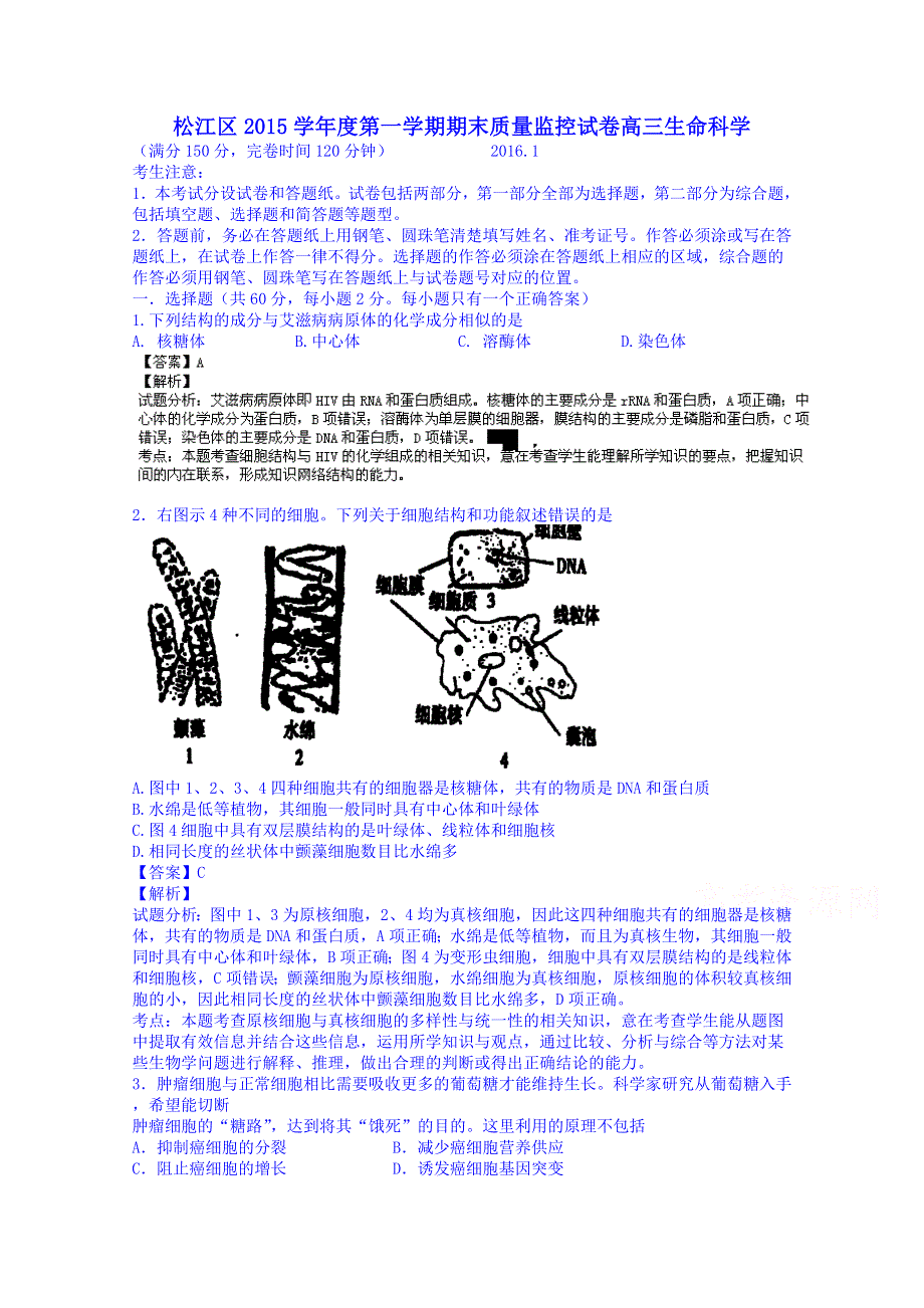 上海市松江区2016届高三上学期期末考试生物试题 WORD版含解析.doc_第1页