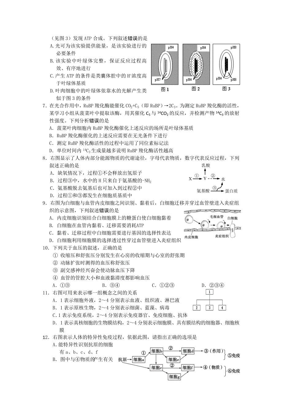 上海市松江区2016届高三上学期期末质量监控生物试卷 WORD版无答案.doc_第2页