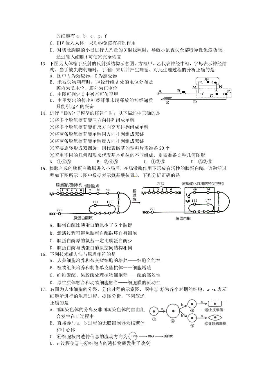 上海市松江区2016届高三上学期期末质量监控生物试卷 WORD版无答案.doc_第3页