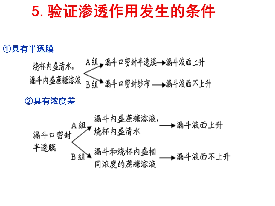 人教版必修1第4章第1节物质跨膜运输的实例 课件 （共16张）.ppt_第3页