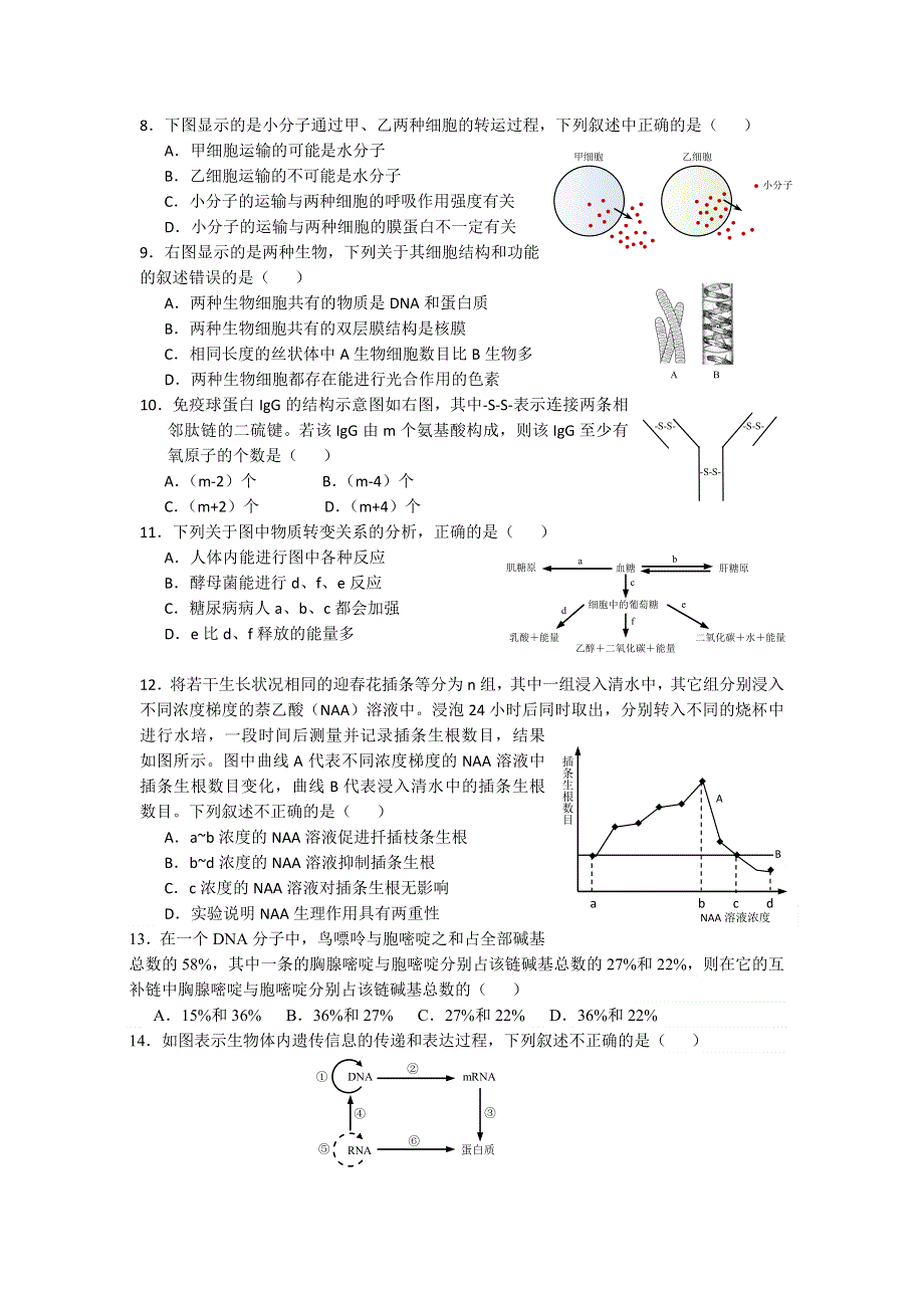 上海市虹口区2013届高三上学期期末教学质量监控生物试题 WORD版无答案.doc_第2页