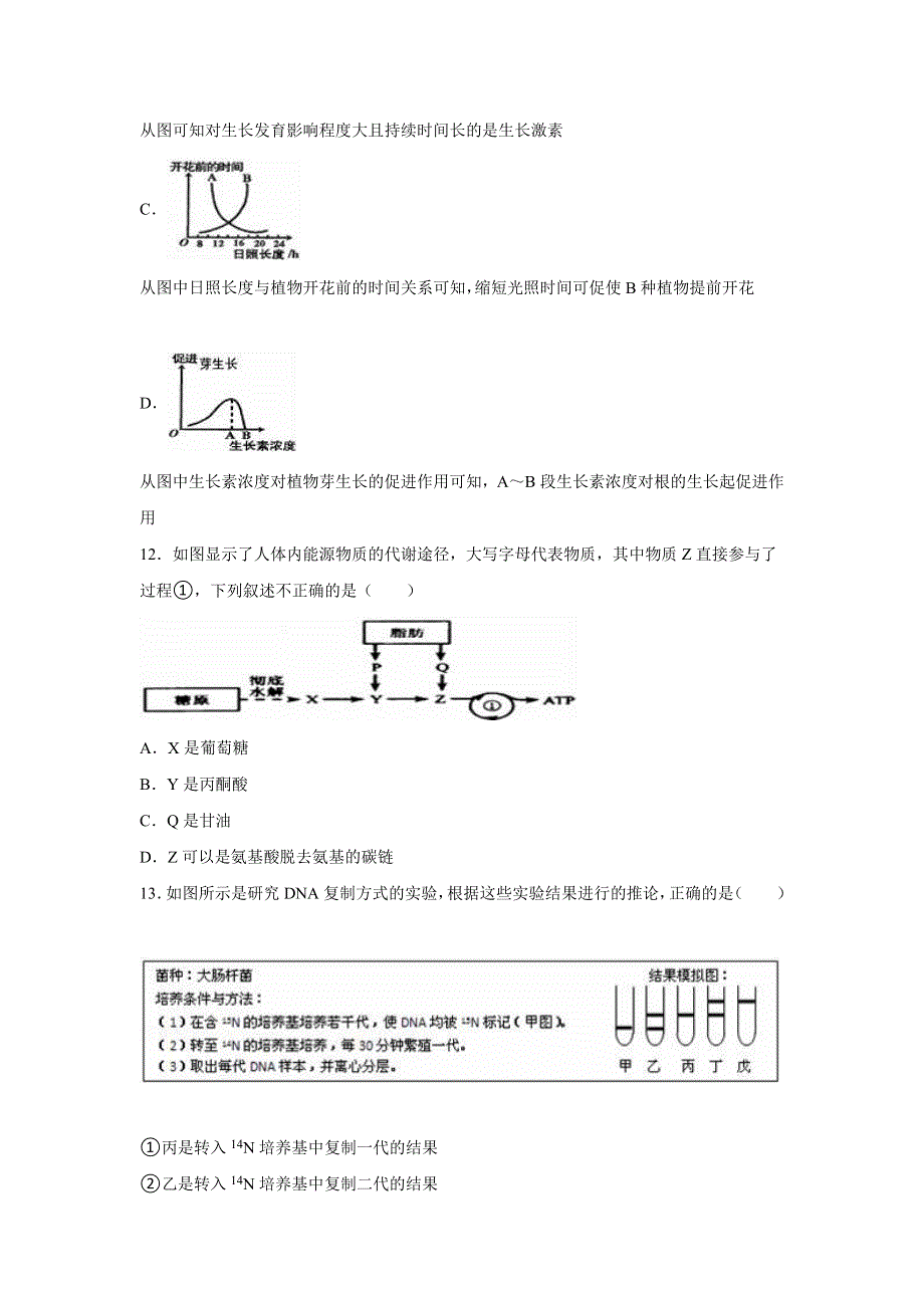 上海市虹口区2016届高三上学期月考生物试卷（12月份） WORD版含解析.doc_第3页