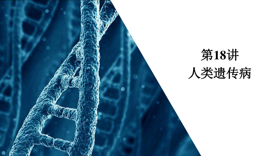 2021届新高考生物一轮复习（选择性考试A方案）课件：必修2 第5单元 第18讲　人类遗传病 .ppt_第3页