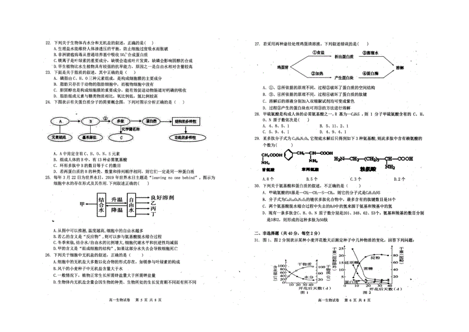 安徽省合肥市庐江中学2020-2021学年高一上学期第一次月考生物试题 PDF版缺答案.pdf_第3页