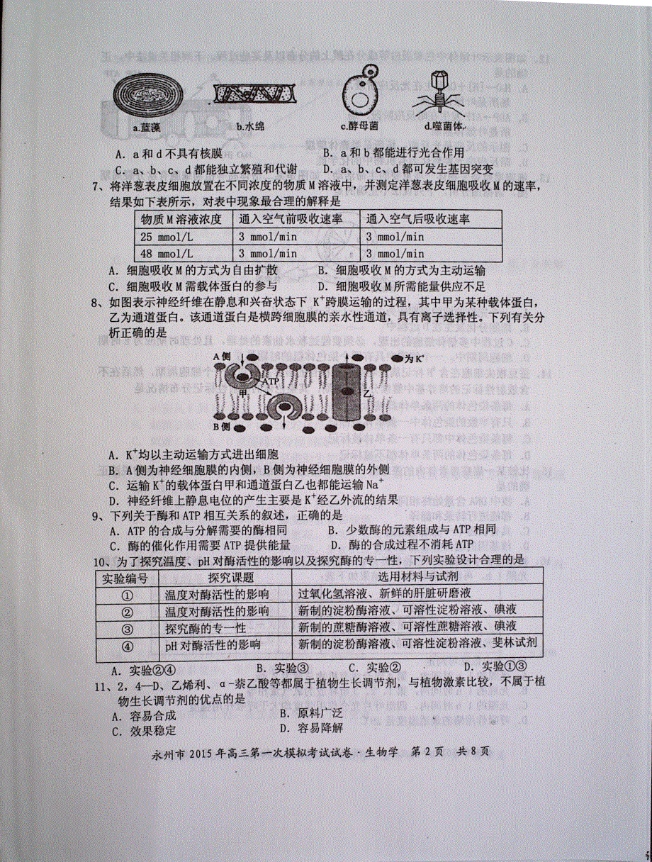 湖南省永州市2015届高三上学期第一次模拟考试生物试题 PDF版含答案.pdf_第2页