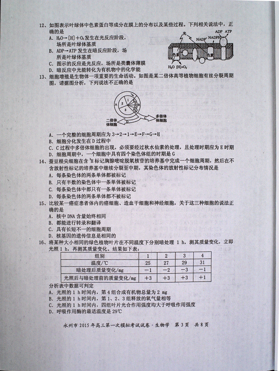 湖南省永州市2015届高三上学期第一次模拟考试生物试题 PDF版含答案.pdf_第3页