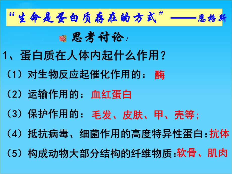 2016年北师大宁江附中新人教版高二化学选修5课件：4.3 蛋白质和核酸 （共28张PPT） .ppt_第3页