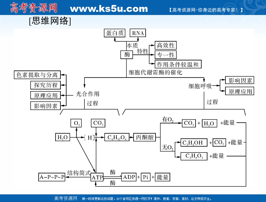 2021届新高考生物一轮课件：必修1 第5章 第1、2节 降低化学反应活化能的酶、细胞的能量“通货”——ATP .ppt_第3页