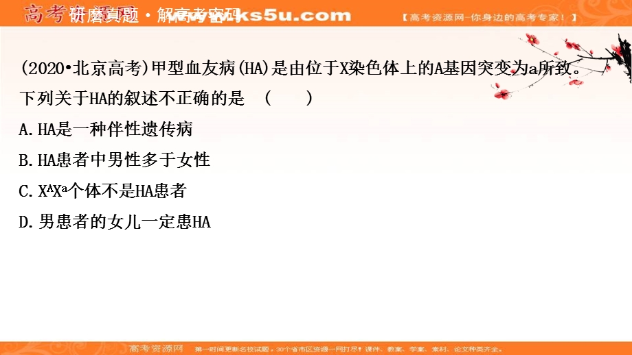 2021届新高考生物山东专用二轮考前复习课件：第一篇 专题5 考向3 伴性遗传 .ppt_第2页